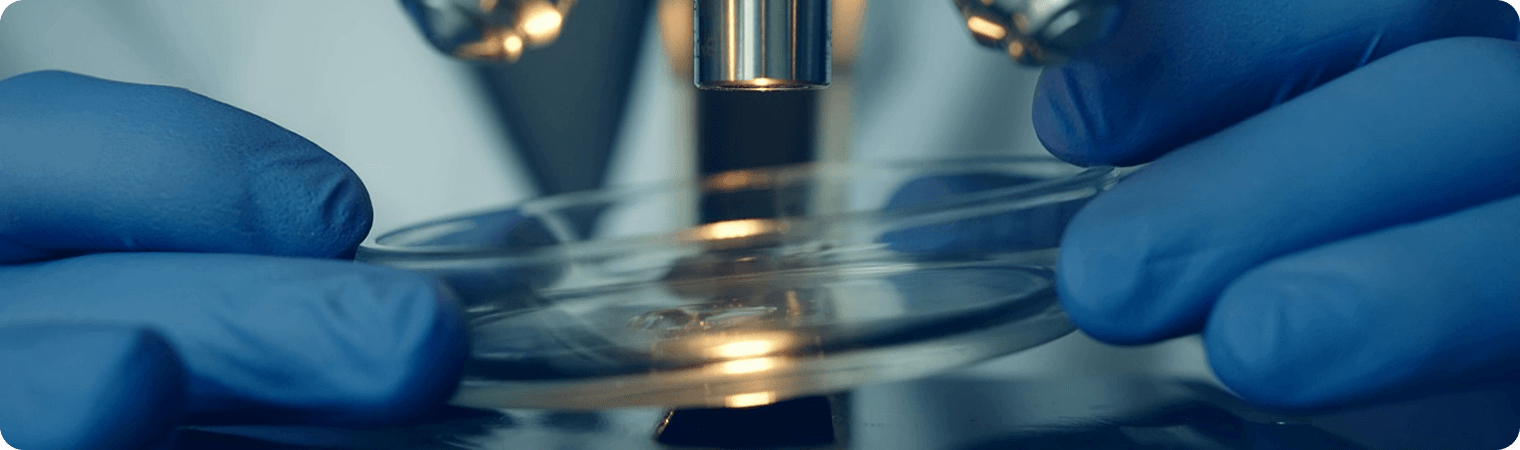 Badania laboratoryjne potwierdzające czystość i skuteczność peptydów Infinity Genetics